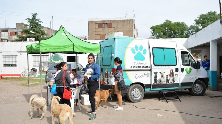 Atención veterinaria gratuita en General Belgrano y San Eduardo